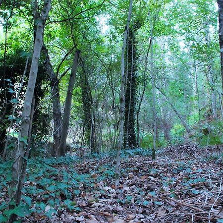 Eco Camping Juncal Ξενοδοχείο Marco de Canavezes Εξωτερικό φωτογραφία