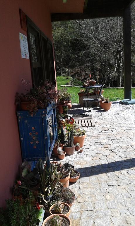 Eco Camping Juncal Ξενοδοχείο Marco de Canavezes Εξωτερικό φωτογραφία
