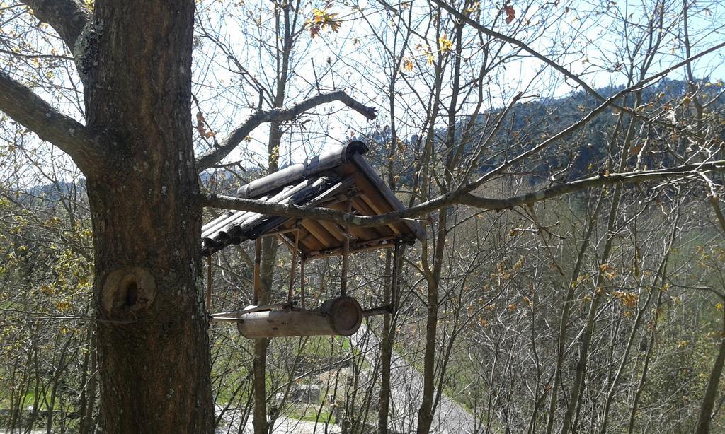 Eco Camping Juncal Ξενοδοχείο Marco de Canavezes Εξωτερικό φωτογραφία