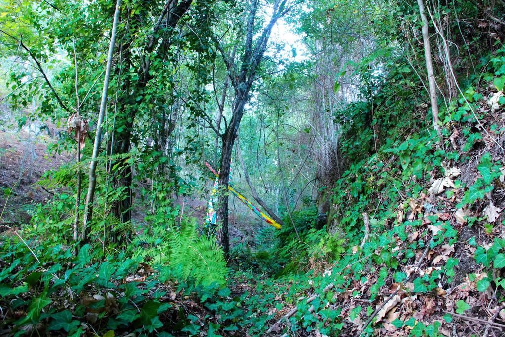 Eco Camping Juncal Ξενοδοχείο Marco de Canavezes Εξωτερικό φωτογραφία