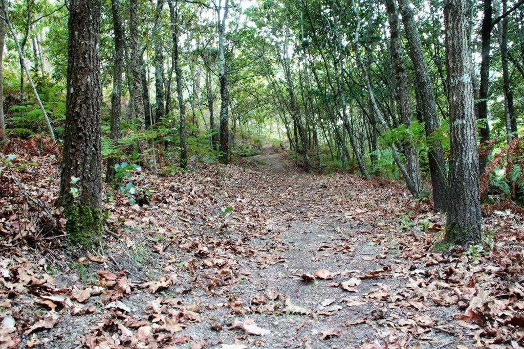 Eco Camping Juncal Ξενοδοχείο Marco de Canavezes Εξωτερικό φωτογραφία