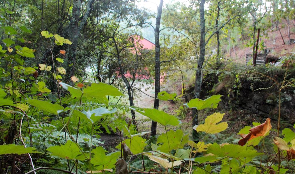 Eco Camping Juncal Ξενοδοχείο Marco de Canavezes Εξωτερικό φωτογραφία