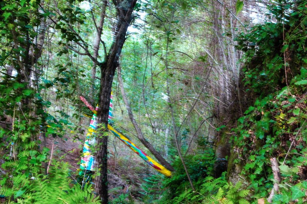 Eco Camping Juncal Ξενοδοχείο Marco de Canavezes Εξωτερικό φωτογραφία