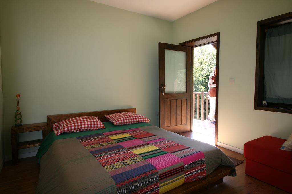 Eco Camping Juncal Ξενοδοχείο Marco de Canavezes Εξωτερικό φωτογραφία